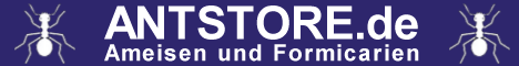Antstore.de
